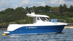 Arvor 250 Siskin