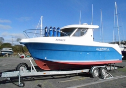 Arvor 250 Siskin